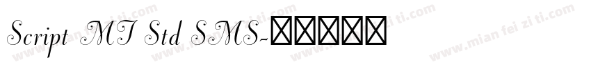 Script MT Std SMS字体转换